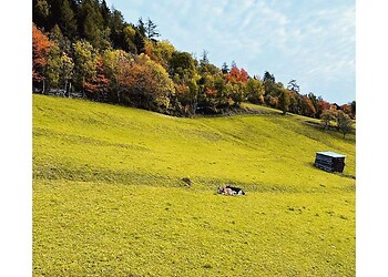 Golden Autumn – Breathe Deeply in the Mountains | 15% Off