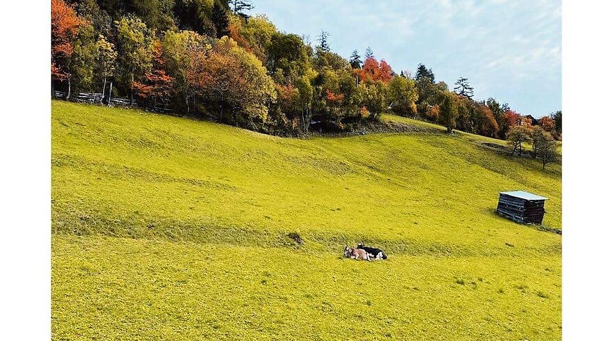 Goldener Herbst - Durchatmen in den Bergen 15% 