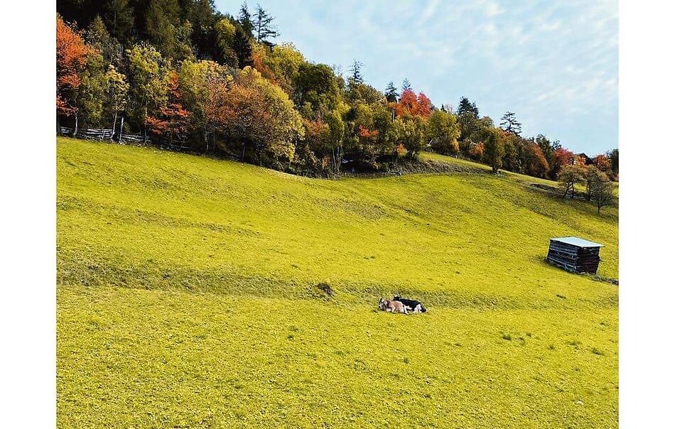 Goldener Herbst - Durchatmen in den Bergen 15% 